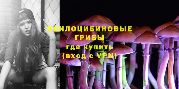 винт Бородино