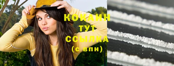 винт Бородино