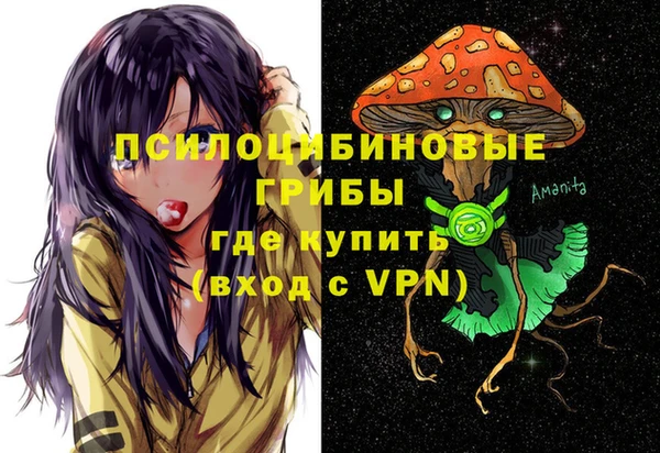 винт Бородино