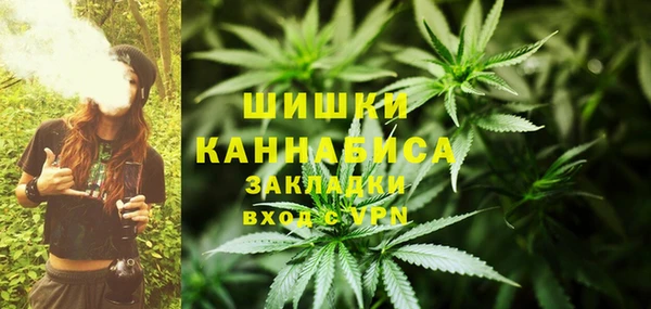 винт Бородино