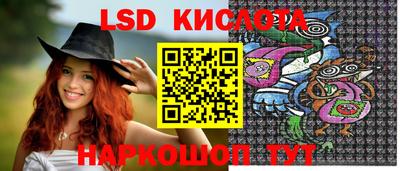 стаф Заводоуковск