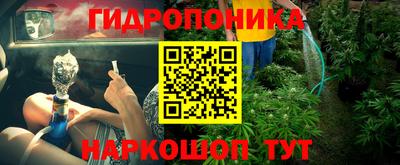 стаф Заводоуковск