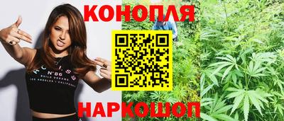 стаф Заводоуковск