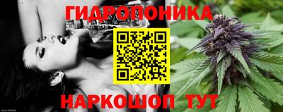 стаф Заводоуковск